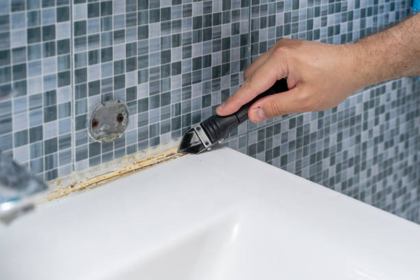 Best Emergency Mold Remediation in Gateway, FL